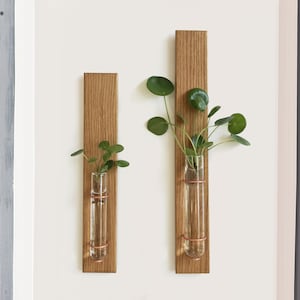 Propagation Wall Hanging, Propagating Glass Vase, Wall Bud Vase, Test Tube, Mounted Planter, Handcrafted Plant Decor, Oak Wood Hanging Gift