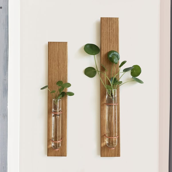 Propagation Wall Hanging, Propagating Glass Vase, Wall Bud Vase, Test Tube, Mounted Planter, Handcrafted Plant Decor, Oak Wood Hanging Gift