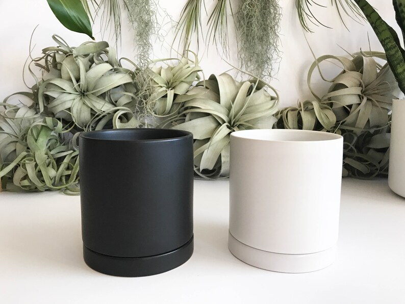 indoor ceramic planters with drainage