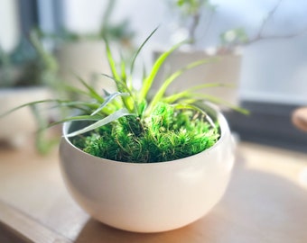Modern Angled Round Planter, Ceramic Planter Bowl, Indoor Plant Pot, White Succulent Pot, For Air Plant and Moss, 4.5" Medium Tabletop Pot