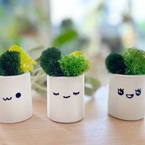 JYTTI Pot de fleurs blanc pour plantes d'intérieur, pot de fleurs, pots de  fleurs, pots de fleurs, pots de plantes grasses, pot de fleurs en forme de