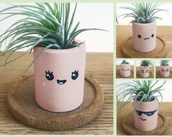 Light Pink Air Plant Holder w Smiley Face, Unique Kawaii Desk Decor, Cute Accessories, Small Concrete Pot, Fun Planter Display, Office Gift