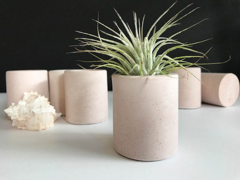 Air Plant Holders Concrete Air Plant Pot Dorm Desk Decor Etsy