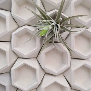 Air Plant Display Holder, Air Plant Desk Decor, Geometric Concrete Planter Pot, Morden Minimalist Tillandsia Holder, Office Co-Worker Gift