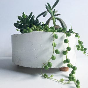 Shallow Succulent Planter with Drainage, Indoor Plant Pot 3.5"- 7.5", Large Round Cement Planter, Tabletop Cactus Pot with Organic Live Edge