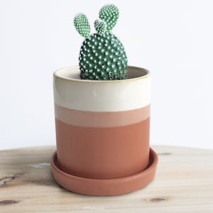 Planter with Tray, Ceramic Planter with Drainage, 3 Inch Plant Pot and Saucer Indoor, Small Succulent & Cactus Pot, Cute Mini Pot, Two Tones