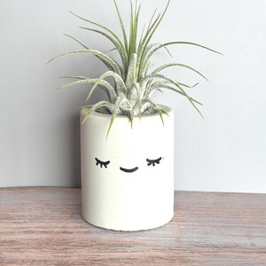 Kawaii-dekor, skrivbordsdekor, luftväxthållare, söta skrivbordstillbehör för kvinnor, tändstickshållare, söt växtkruka, smiley-ansikte-planterare i studentrummet bild 2