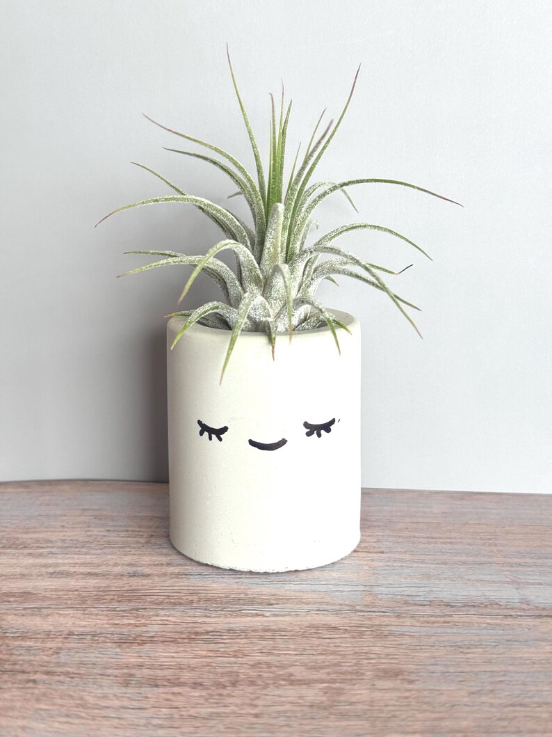 Kawaii-dekor, skrivbordsdekor, luftväxthållare, söta skrivbordstillbehör för kvinnor, tändstickshållare, söt växtkruka, smiley-ansikte-planterare i studentrummet bild 2