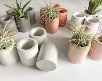 Air Plant Holders Concrete, Air Plant Pot, Dorm Desk Decor, Concrete Planter, Air Plant Display, Office Desk Plant Gift, Tillandsia Holder