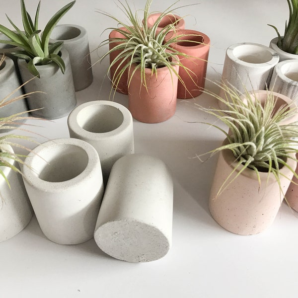 Air Plant Holders Concrete, Air Plant Pot, Dorm Desk Decor, Concrete Planter, Air Plant Display, Office Desk Plant Gift, Tillandsia Holder