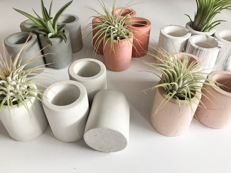 Air Plant Holders Concrete Air Plant Pot Dorm Desk Decor Etsy