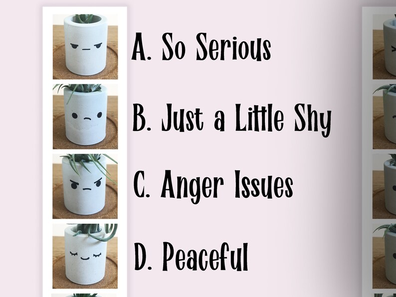 Kawaii-dekor, skrivbordsdekor, luftväxthållare, söta skrivbordstillbehör för kvinnor, tändstickshållare, söt växtkruka, smiley-ansikte-planterare i studentrummet bild 5