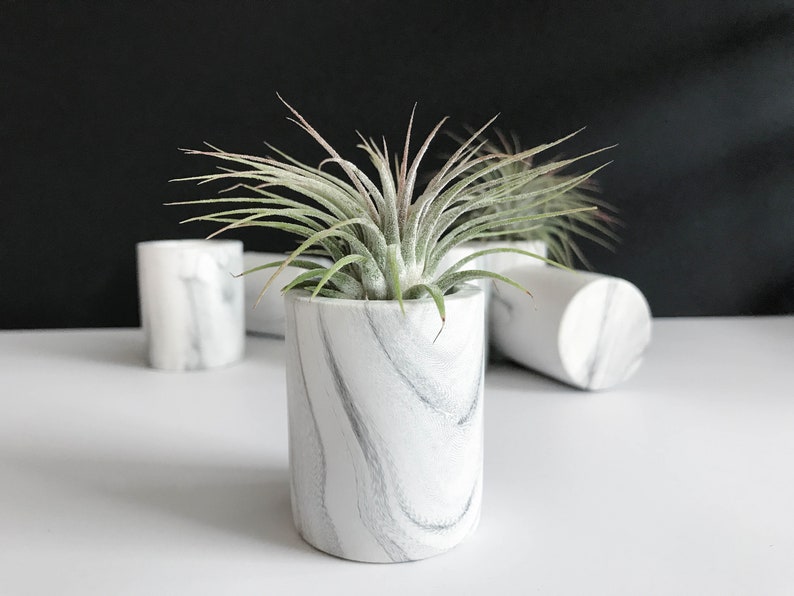 Air Plant Holders Concrete Air Plant Pot Dorm Desk Decor Etsy