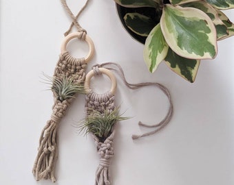 Colgante de macramé para coche con planta aérea / Arte textil bohemio