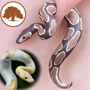 Hand Painted Ball Python Earrings | 3D Printed