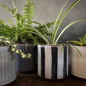 May include: Three ceramic plant pots with different patterns. The pot on the left is a light grey with a textured finish. The middle pot is black with white stripes. The pot on the right is a light beige with a speckled finish.