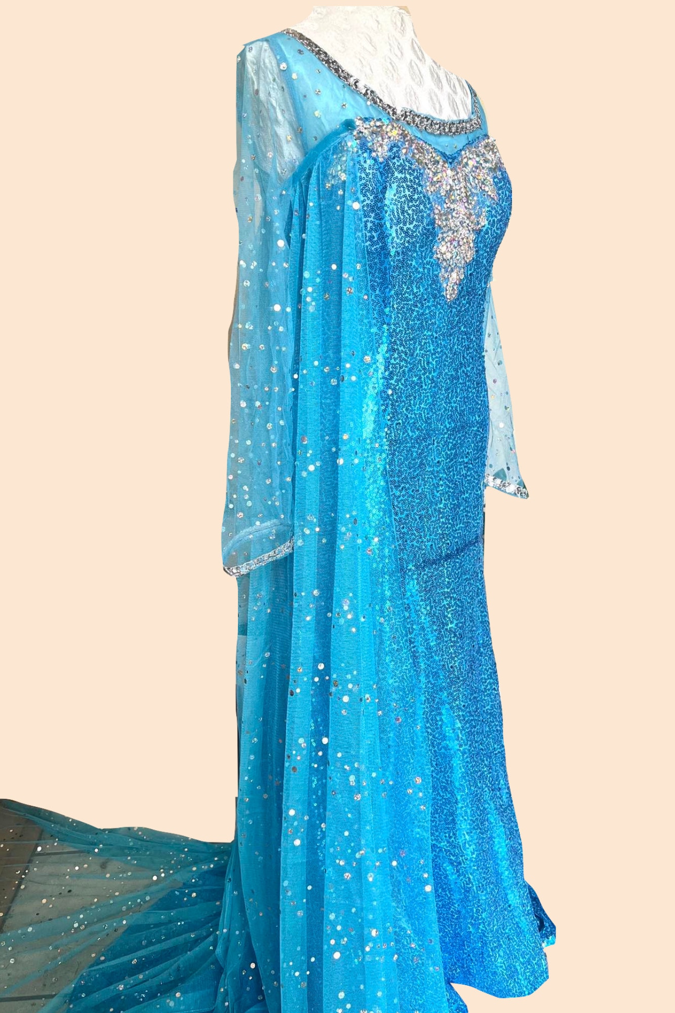 sachin and babi light blue dress Sams Club Princess Dress Elsa main image 1