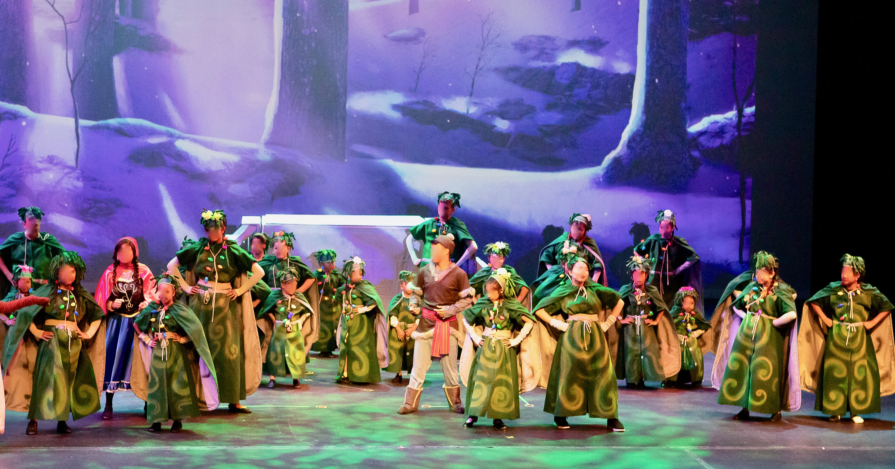 Frozen Pabbie Bulda Hidden Folks Fixer Upper Rocks Troll Green Etsy