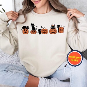 Black Cat Sweatshirt or Hoodie, Halloween Pumpkin Hoodie, Pumpkin Sweatshirt, Black Cat Lover Hoodie, Spooky Season Hoodie, Cat Sweatshirt