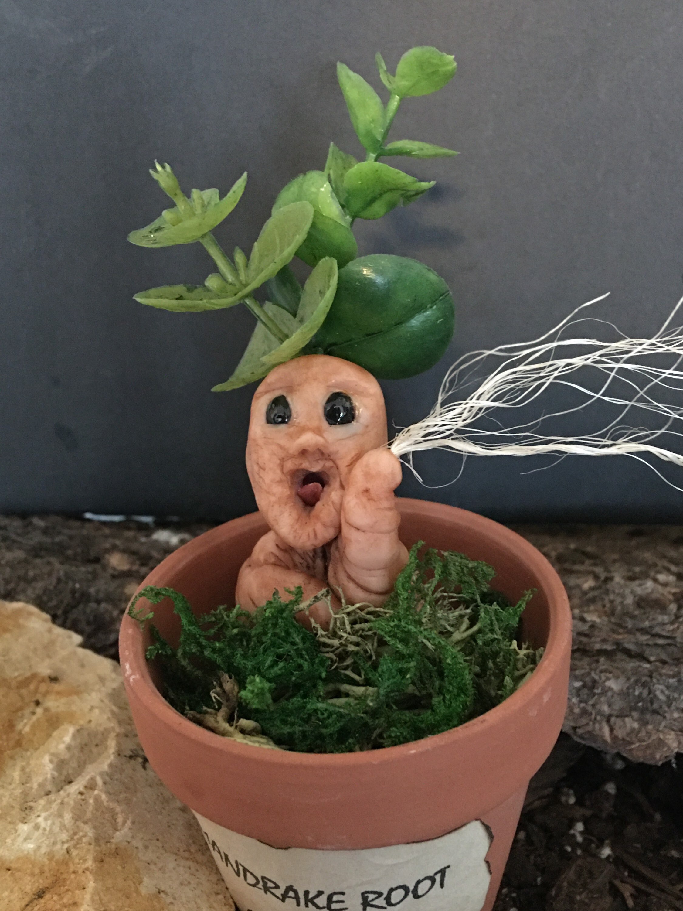 Ooak mandrake roots and other plants in polymer clay -  Portugal