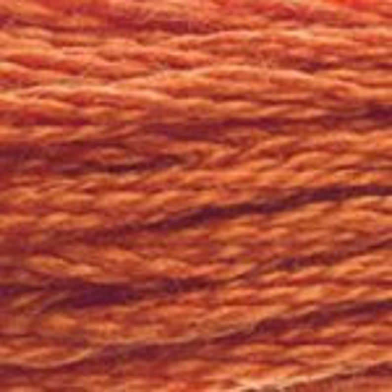 DMC Floss Colour Bundle AUTUMN 25 skeins of 6 Strand Cotton Floss in Various Colours of Autumn Shades Plus a Coloris in Your Palette