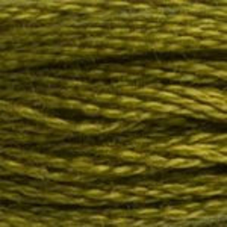 DMC Floss Colour Bundle AUTUMN 25 skeins of 6 Strand Cotton Floss in Various Colours of Autumn Shades Plus a Coloris in Your Palette
