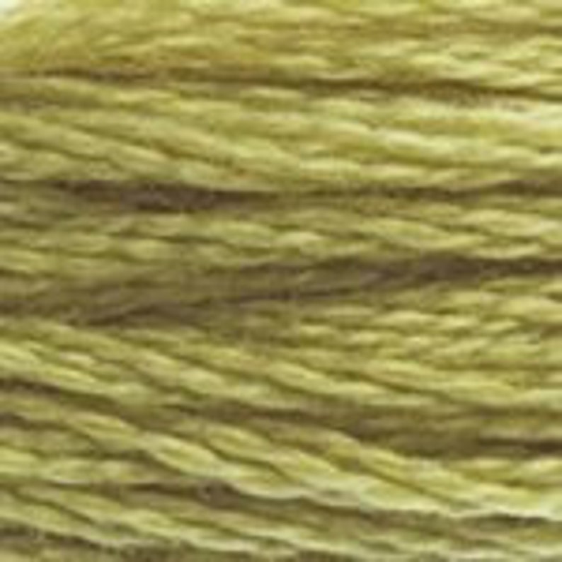 DMC Floss Colour Bundle AUTUMN 25 skeins of 6 Strand Cotton Floss in Various Colours of Autumn Shades Plus a Coloris in Your Palette