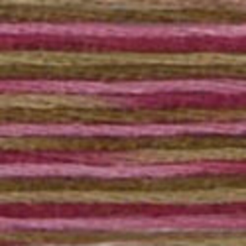 DMC Floss Colour Bundle AUTUMN 25 skeins of 6 Strand Cotton Floss in Various Colours of Autumn Shades Plus a Coloris in Your Palette