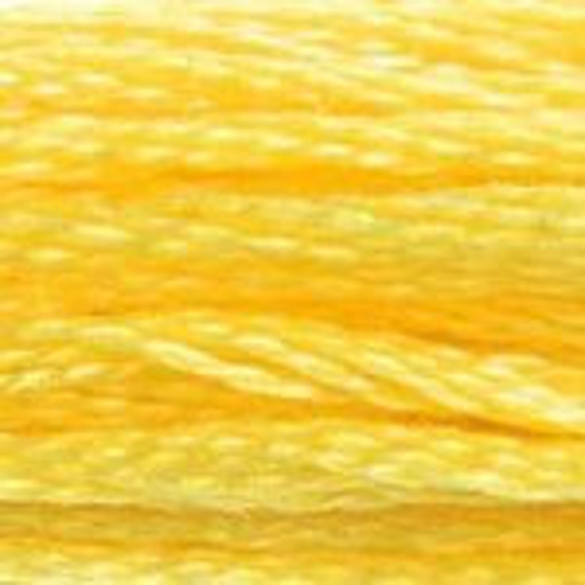 DMC Floss Colour Bundle YELLOW 25 skeins of Various Shades Etsy