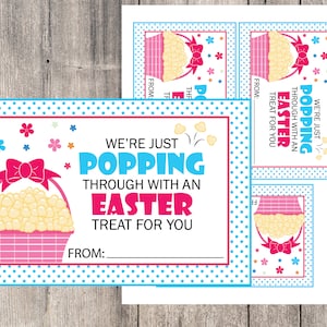 Può includere: Un'etichetta regalo di Pasqua stampabile rosa e blu con un cestino di popcorn e il testo "We're just popping through with an Easter treat for you".