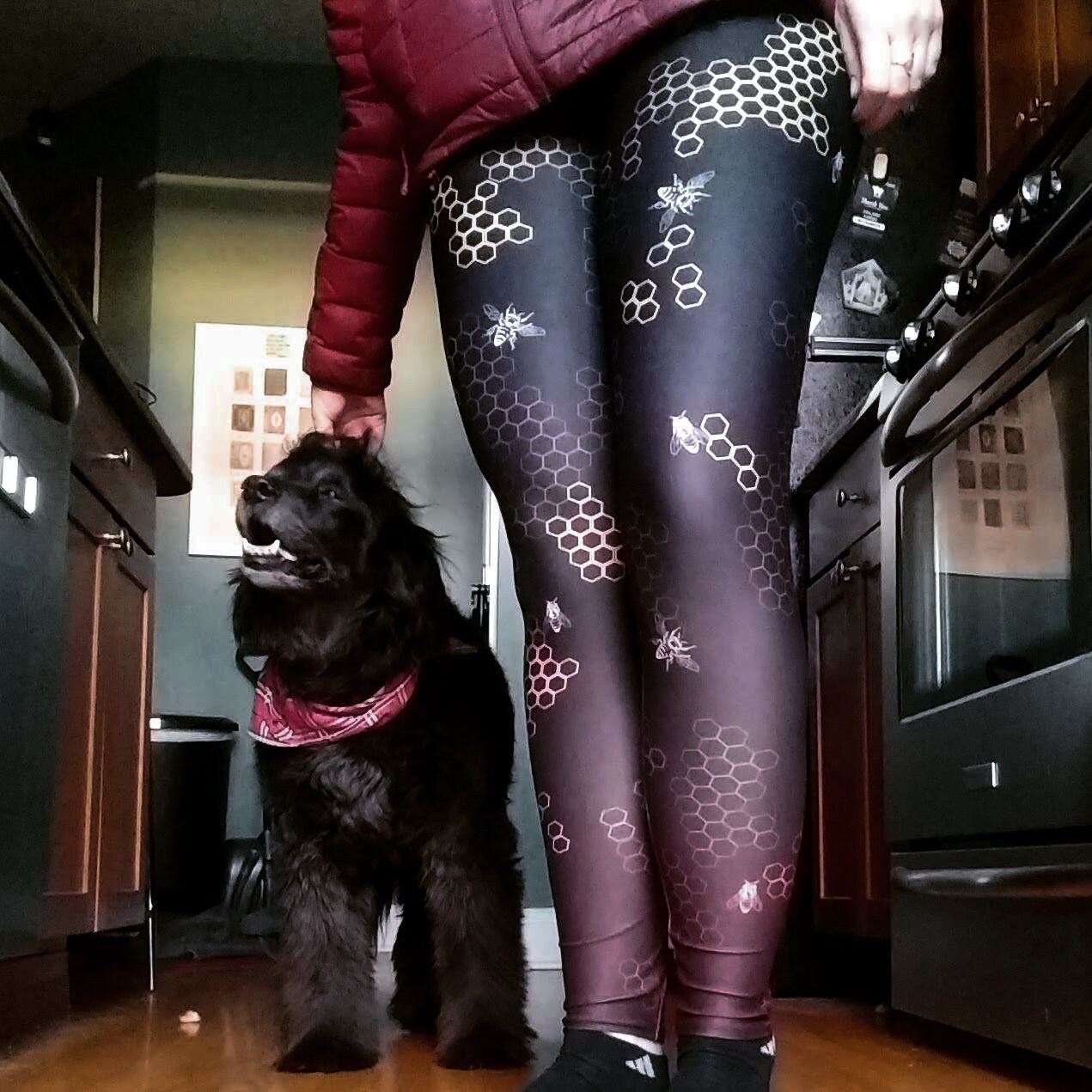Honey Bee Leggings / Save the Bees 
