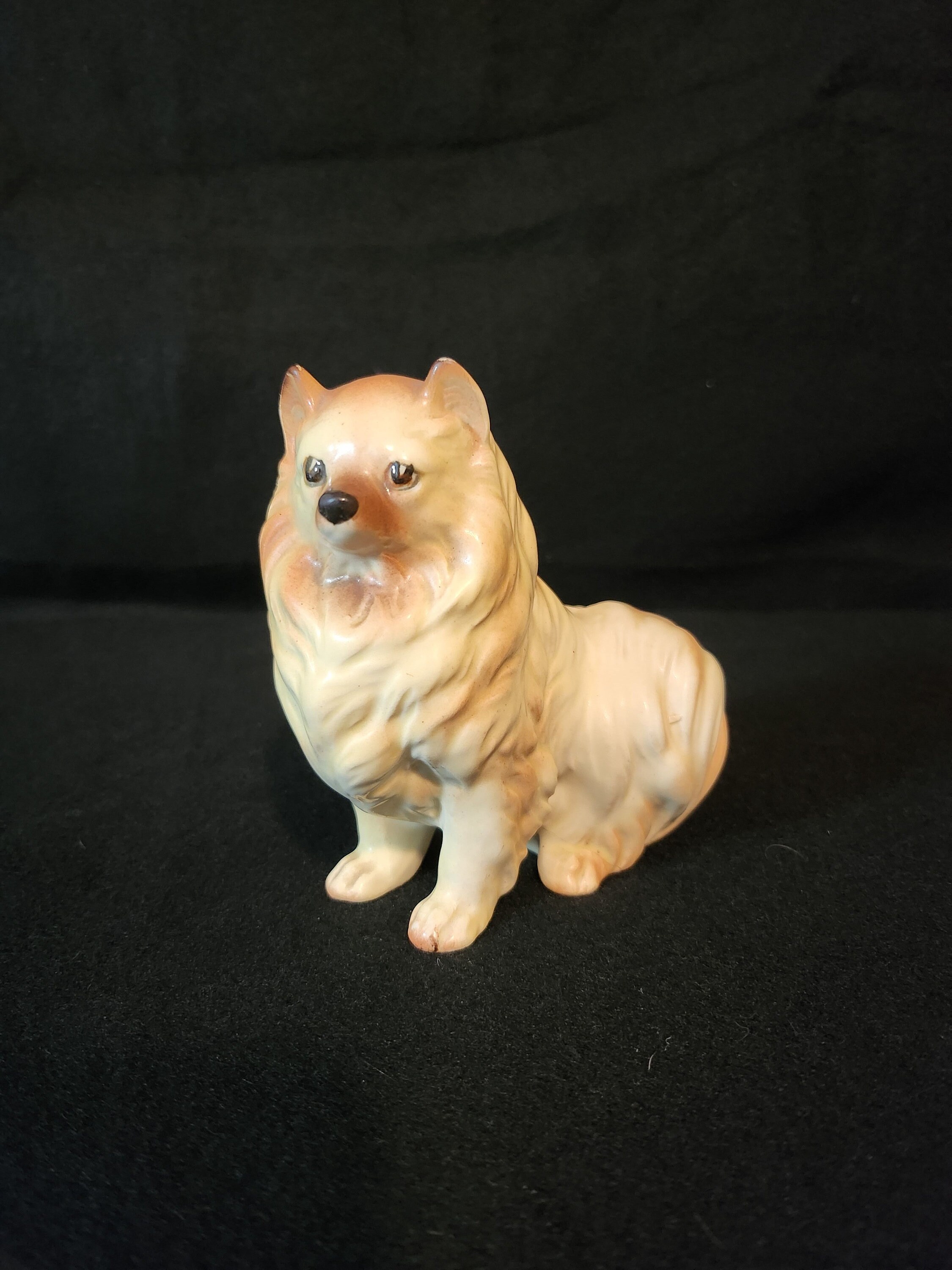 Norleans Dog - Etsy