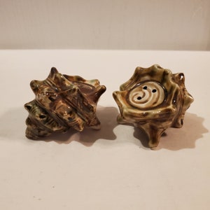 May include: A set of two ceramic salt and pepper shakers shaped like seashells. The shells are brown and green with a white glaze.