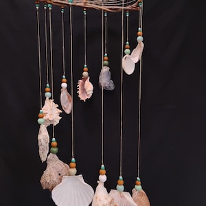 May include: A handcrafted wind chime featuring a natural branch frame with hanging seashells and beads. The seashells are in various shapes and colors, including white, tan, and brown. The beads are wooden and turquoise. The wind chime hangs from a thin string.
