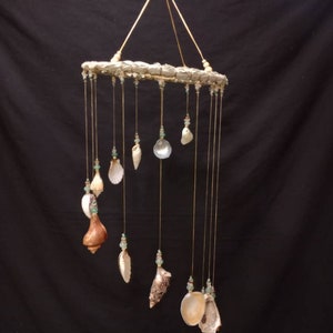 Shells Dream Catcher - 50cm Wholesale | Pastel Pines