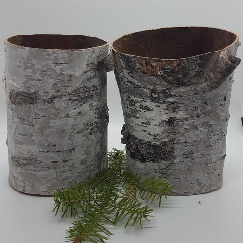 Birch Bark Containers Set of 2 Etsy