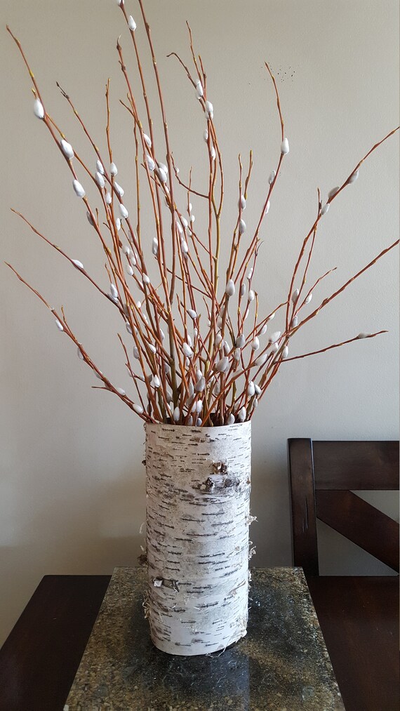 Birch Bark Vase With Fresh Pussy Willow Branches Etsy