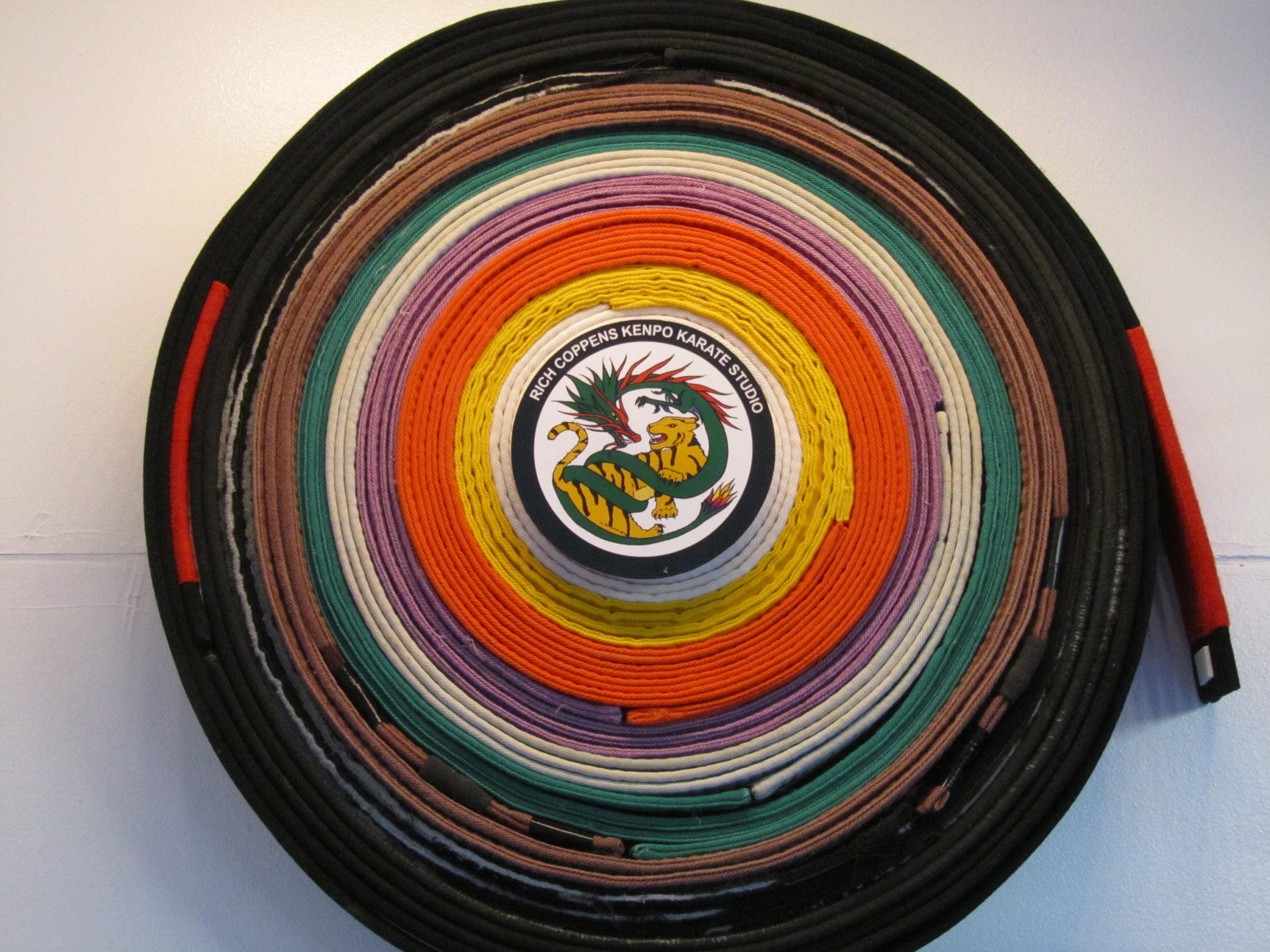 Ideal Karate Belt Display. Showcase Your Belts With This Etsy