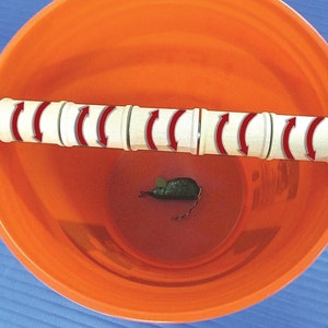 Ultimate Mouse Trap - The Multi Log Rolling Mouse Trap