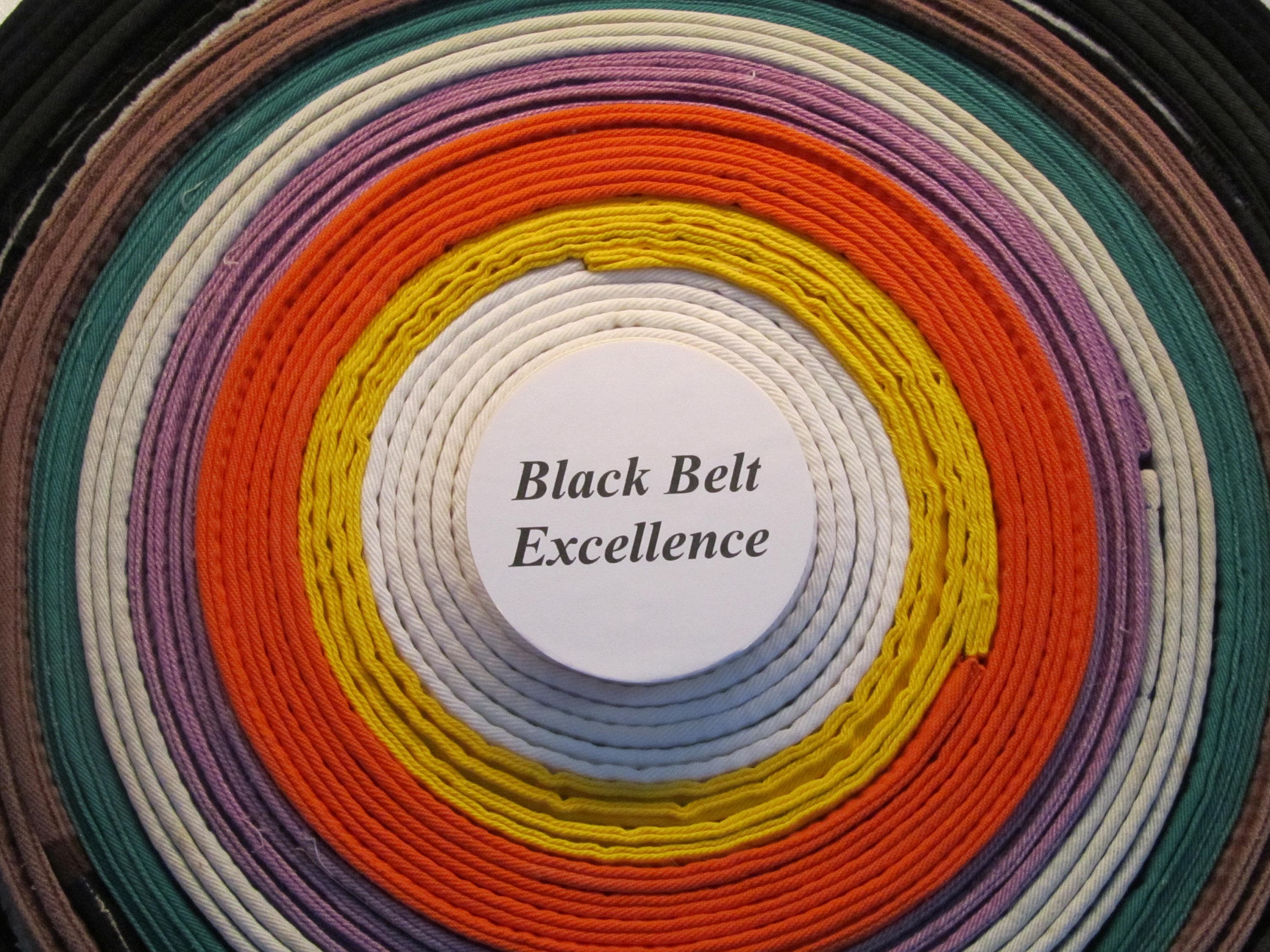 Ideal Karate Belt Display. Showcase your belts with this Etsy