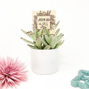 Assista-me crescer, marcadores de plantas personalizados, etiquetas de plantas, marcadores de jardim de madeira, chá de bebê, lembrancinhas de casamento, estaca de ervas