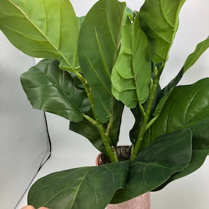 Fake Ficus Stem Artificial Fiddle Leaf Fig Long Branch Fake Ficus Stem Summer Arrangement Home decor