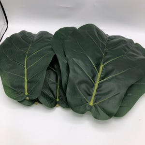 May include: A collection of large, dark green artificial fiddle leaf fig leaves with prominent, lighter green veins. Each leaf features a broad, rounded shape with a smooth surface and a small, short stem at the base, arranged in a overlapping cluster.