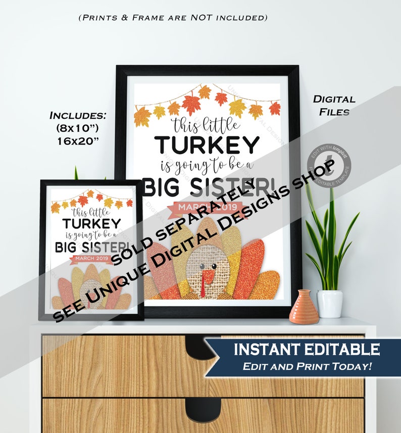 May include: Two framed prints with the text "this little TURKEY is going to be a BIG SISTER!" and "MARCH 2019". The prints are black framed and include a turkey graphic with fall leaves. The sizes are 8x10 inches and 16x20 inches.