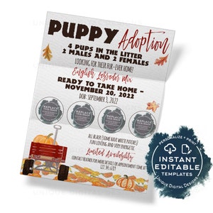 May include: A printable adoption announcement for English Labrador puppies. The announcement features a red wagon with pumpkins and fall leaves. The text reads "Puppy Adoption", "4 pups in the litter", "2 males and 2 females", "Looking for their fur-ever home!" , "English Labrador Mix", "Ready to take home - November 20, 2022", "DOB: September 3, 2022", "All black (some have white patches)", "Fun loving and very energetic", "Limited Availability", "Contact Heather for more details or appointment time at 122.345.6789", "Personalize + Print", "Instant Editable Templates", "Unique Digital Designs".