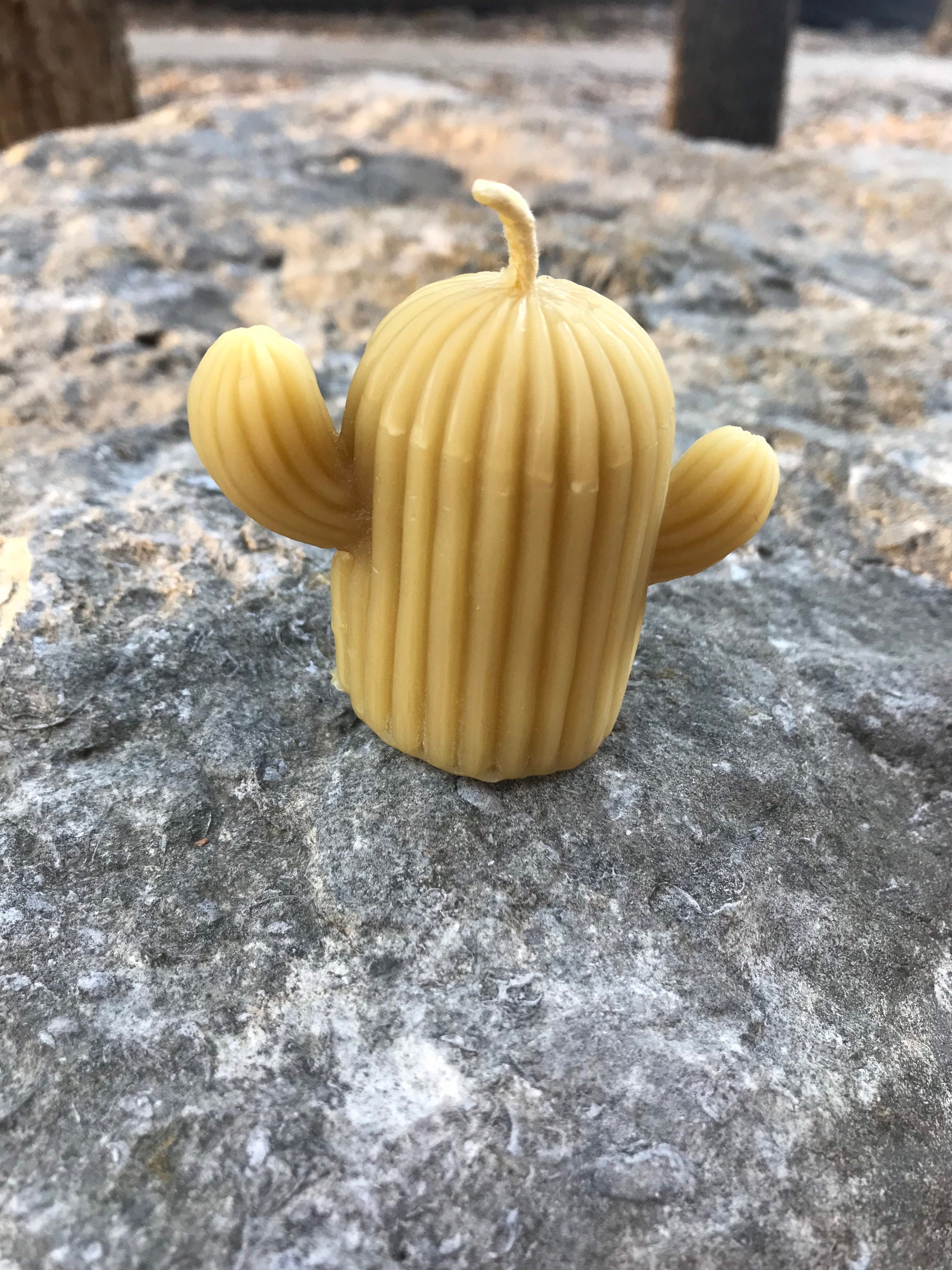 Cactus Votive Candle Cactus Southwestern Candle Desert Etsy