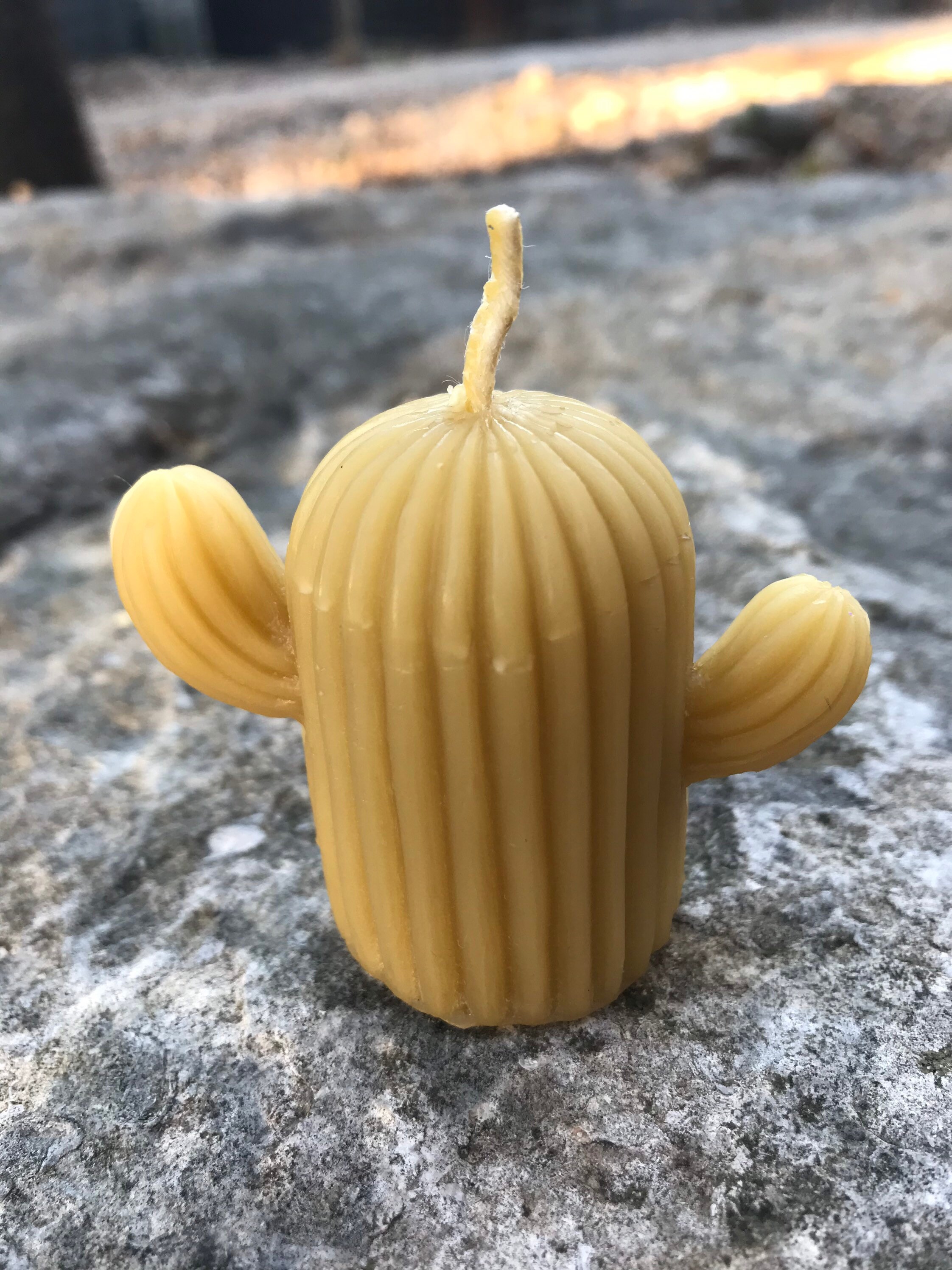 Cactus Votive Candle Cactus Southwestern Candle Desert Etsy