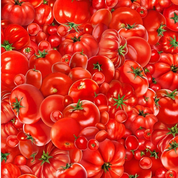 Red Tomato Fabric Fabric - 100% COTTON Fabric, Quality Cotton Fabric,  Quilting Fabric and Apparel Fabric -  Timeless Treasures Fabric