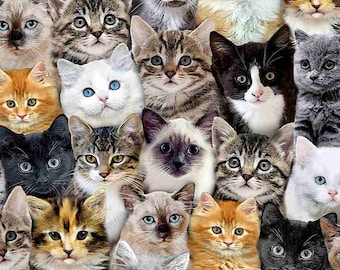 Cats COTTON Fabric - Packed Realistic Cats - 100% Cotton Fabric, Quality Quilting Fabric