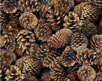 Pine Cone Cotton Fabric – Woodland Forest Quilt Fabric, Rustic Nature Print by Elizabeth's Studio